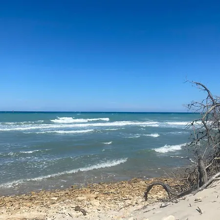 Bric A Brac Eclectic