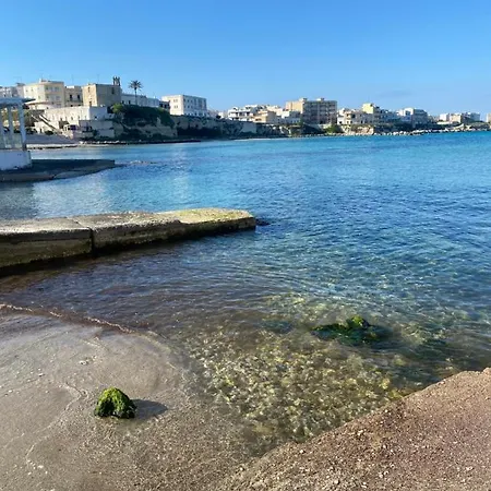 Bric A Brac Eclectic 게스트하우스 3*