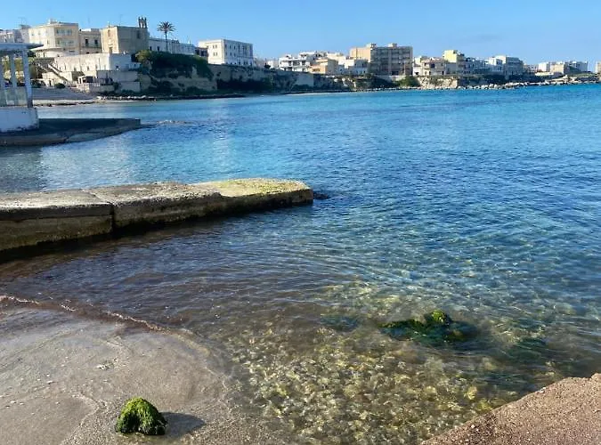 Bric A Brac Eclectic 招待所 3*